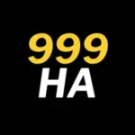 999HA Game