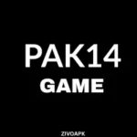 PAK14 Game