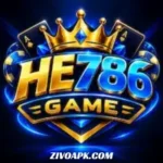 HE786 Game