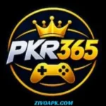 PKR365 Game